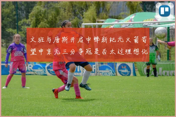 文班与唐斯开启中锋新纪元火箭寄望申京无三分争冠是否太过理想化